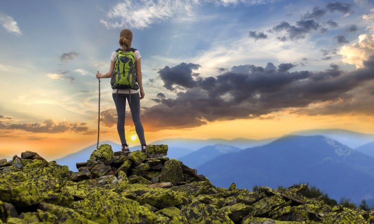 Our Best Wood Hiking Sticks and Staffs