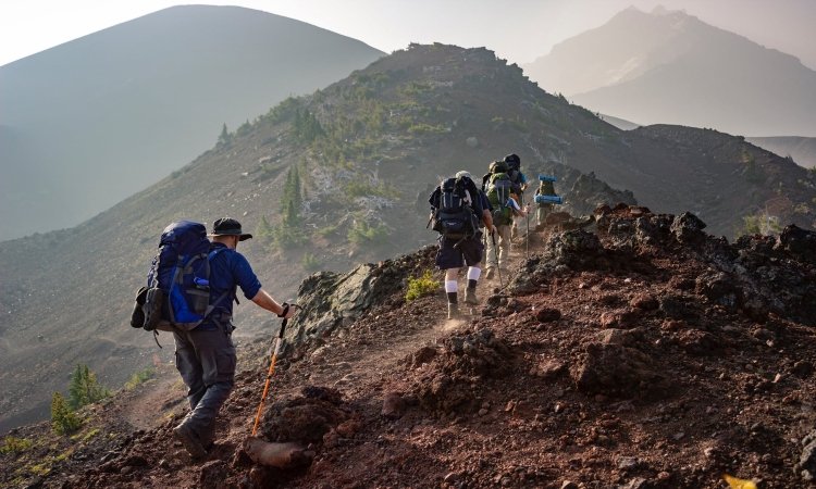 Survival Walking Sticks & Staffs