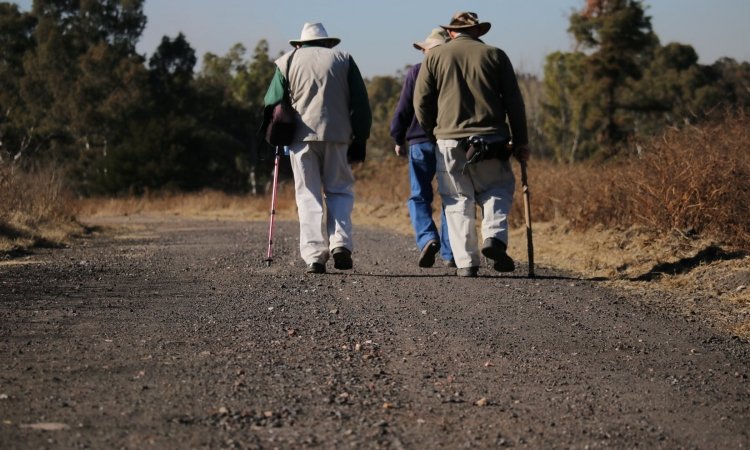 Benefits of a Walking Cane for Back Pain