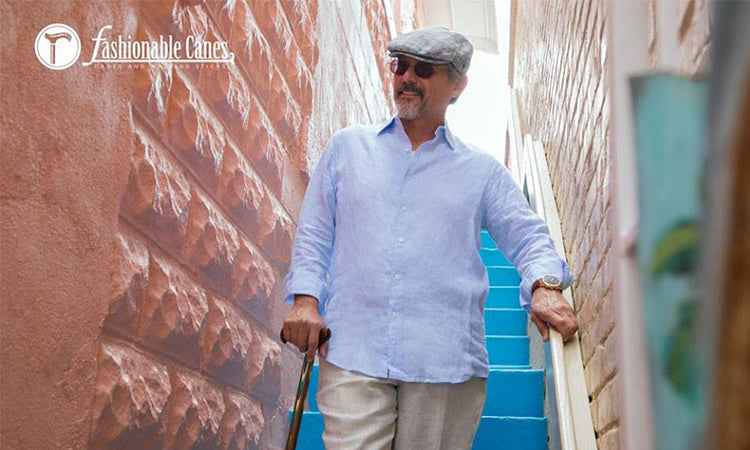 Ebony Wood Walking Canes - Fashionable Canes