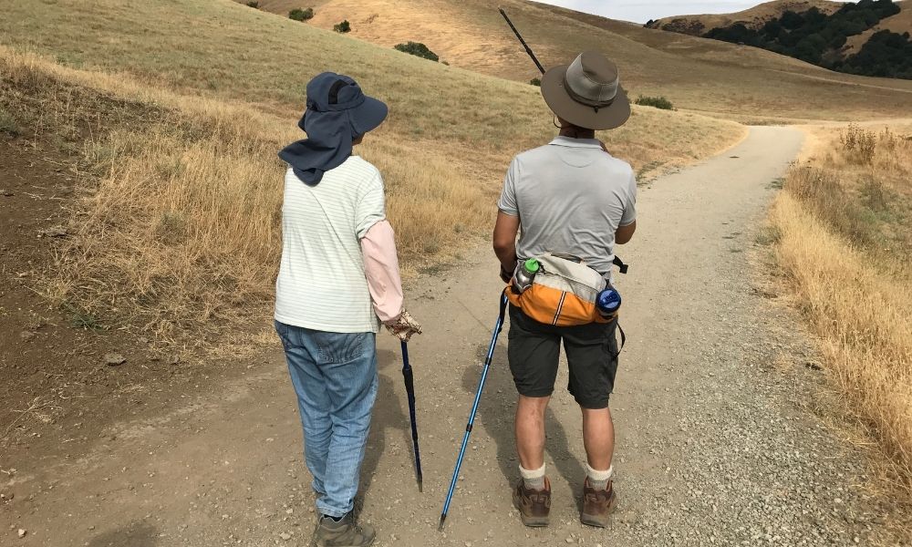 The Ultimate Guide to the Best Canes for Walking Support