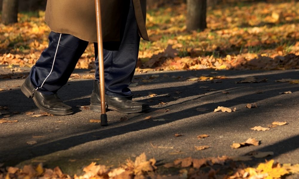 Top Reasons Why You Should Go for A Walk