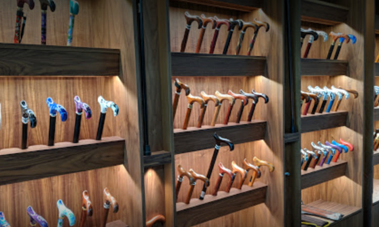 Fashionable Canes on Glee! - Fashionable Canes