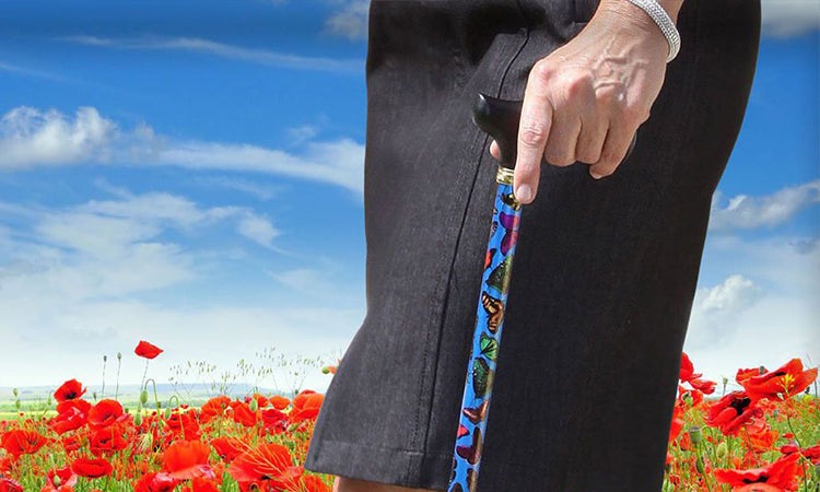 How to choose a cane handle - Fashionable Canes