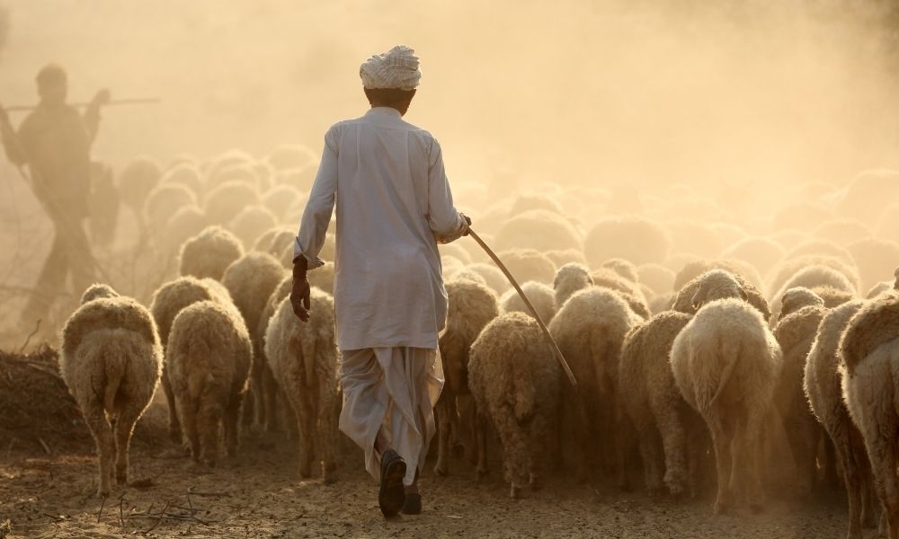 The History of the Walking Cane