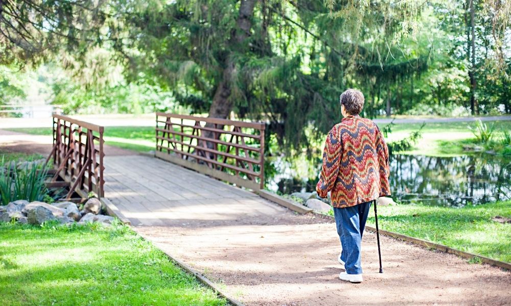 Where Does the Term “Walking Cane” Come From?