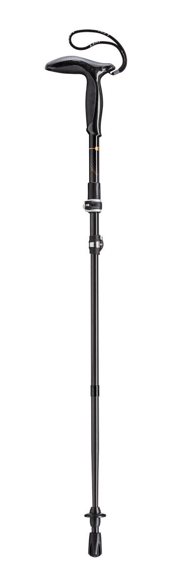 Leki 2024 walking cane
