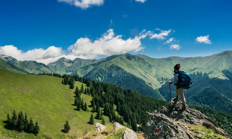 Try out your New Walking Stick on these Terrific Hikes