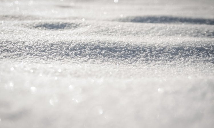 How to Make Your Cane Winter Ready
