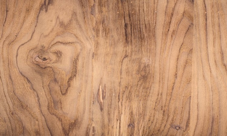 How to Care for a Wooden Cane