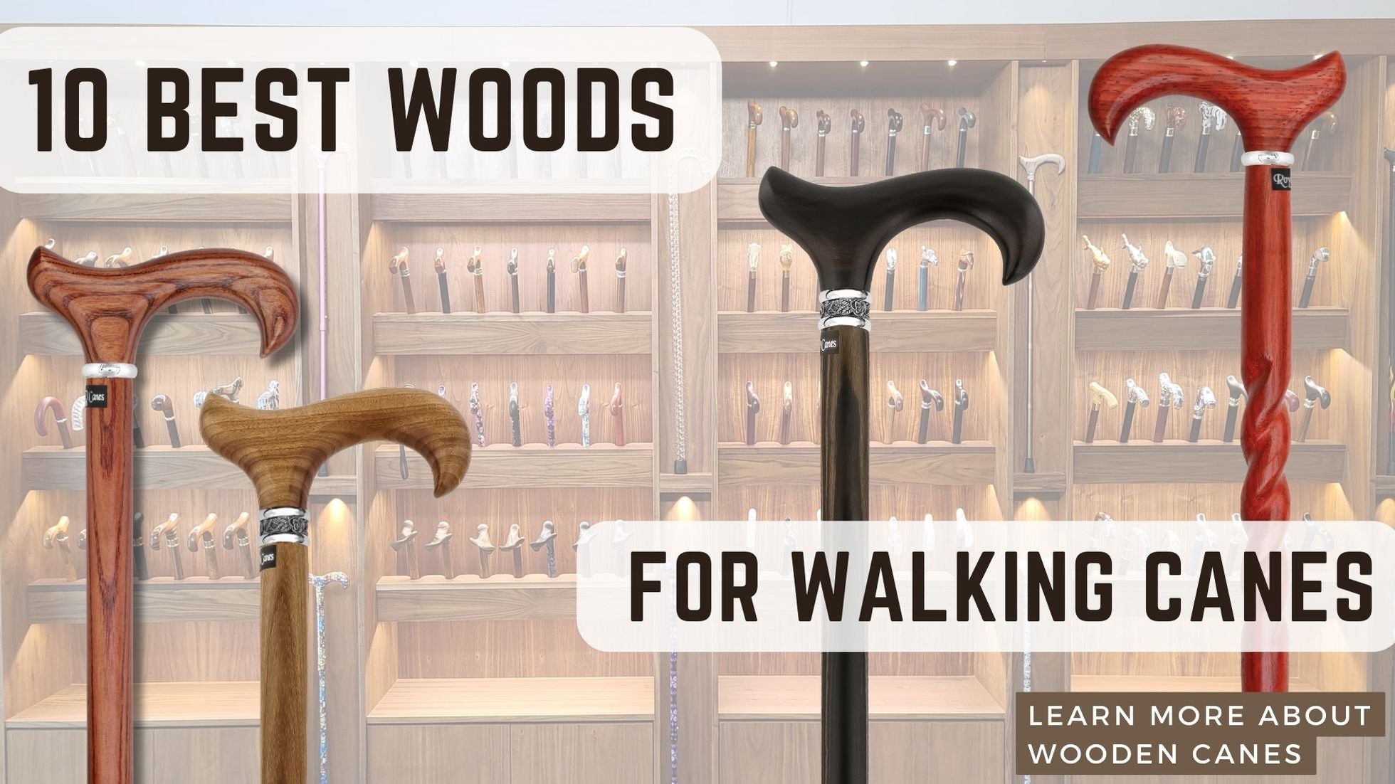 10 Best Woods for Walking Canes