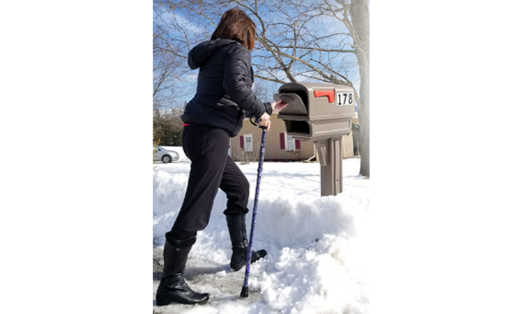 Winter Cane Ice Safety - Fashionable Canes