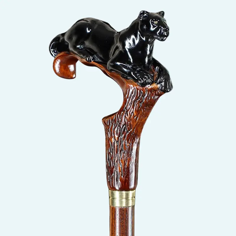Collectible & Specialty Canes: The Collector’s Gallery
