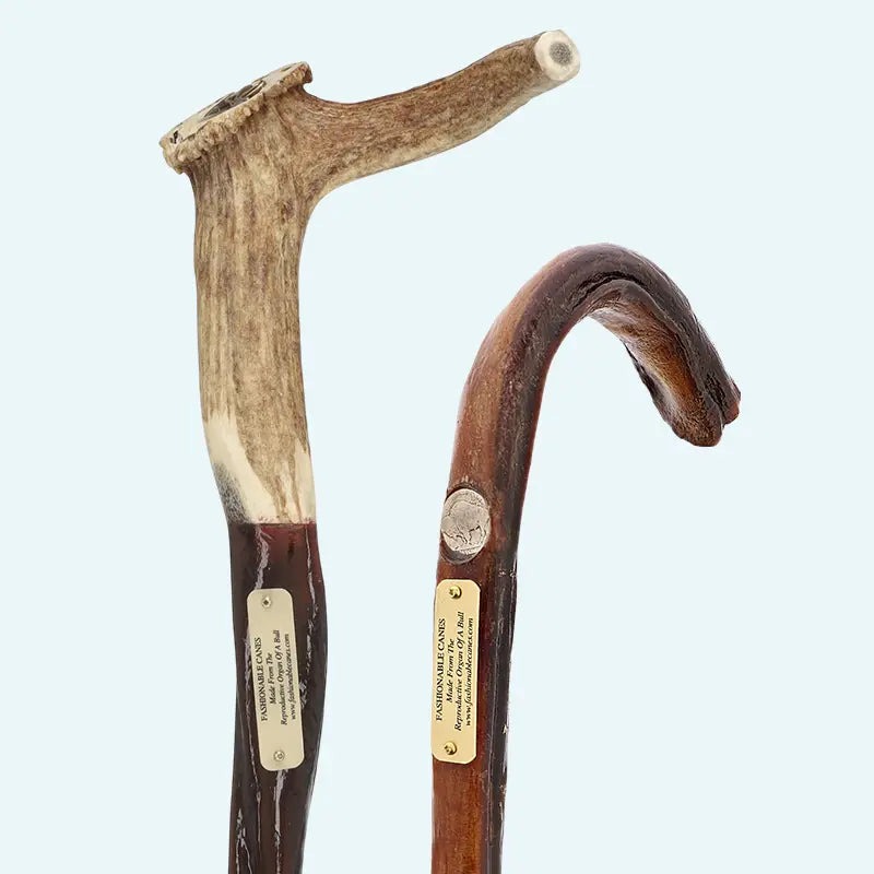 Horn Canes and Antler Walking Canes - Fashionable Canes