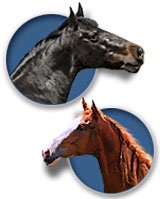 Horse & Rabbit Canes - Fashionable Canes