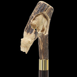 Bison Antler Buffalo Bone Handle Collector Cane w/Custom Shaft and Collar