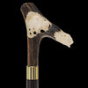 Carved Bison Antler Buffalo Bone: Collector Cane - Limited Supply