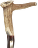 Exclusive Elk Horn Handle Cane with Bull Organ Shaft