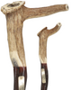 Exclusive Elk Horn Handle Cane with Bull Organ Shaft