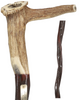 Exclusive Elk Horn Handle Cane with Bull Organ Shaft