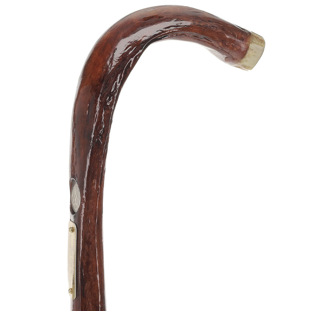 Bull Organ Tourist Handle Walking Cane with Elk Horn End Cap