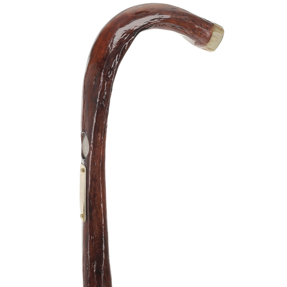 Bull Organ Tourist Handle Walking Cane with Elk Horn End Cap