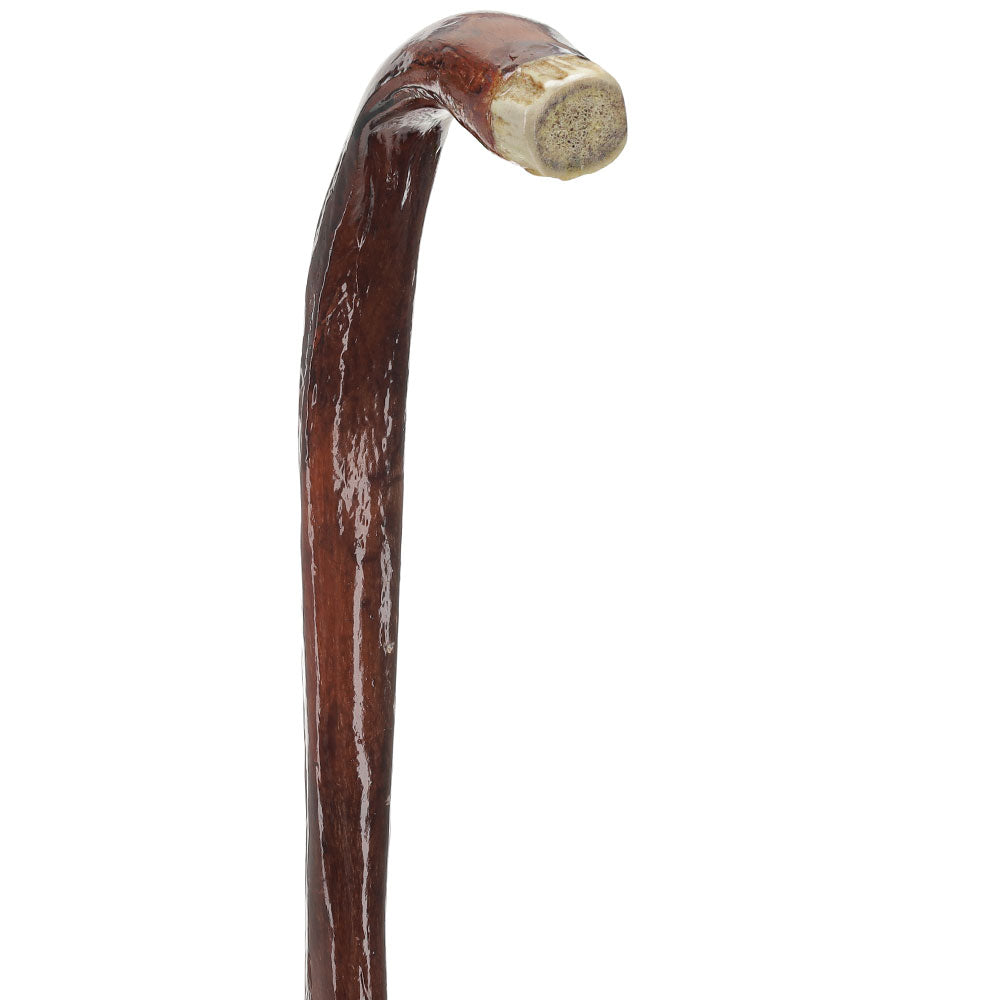 Bull Organ Tourist Handle Walking Cane with Elk Horn End Cap