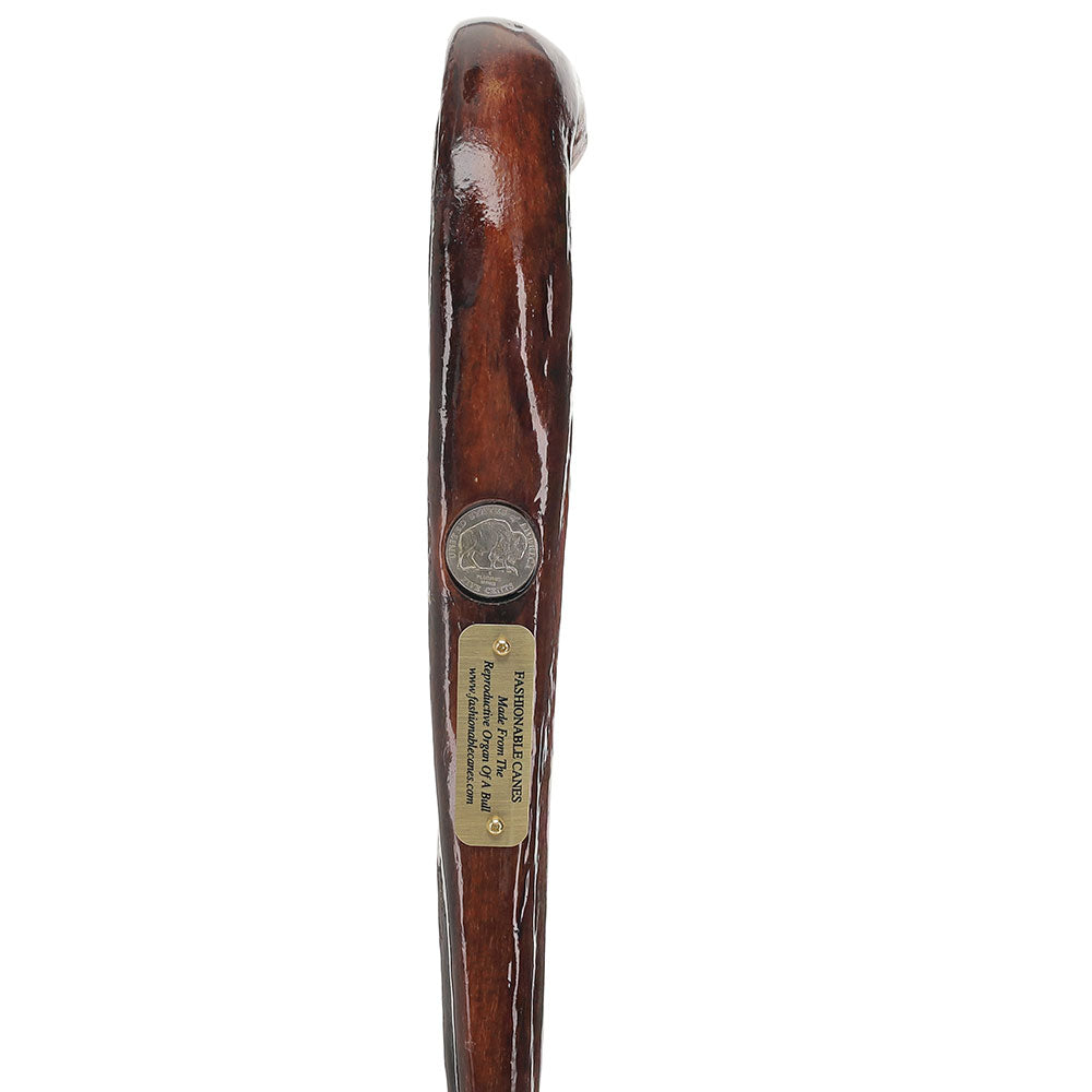 Bull Organ Tourist Handle Walking Cane with Elk Horn End Cap