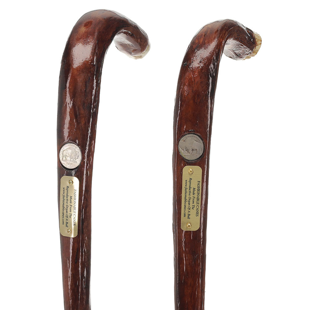 Bull Organ Tourist Handle Walking Cane with Elk Horn End Cap