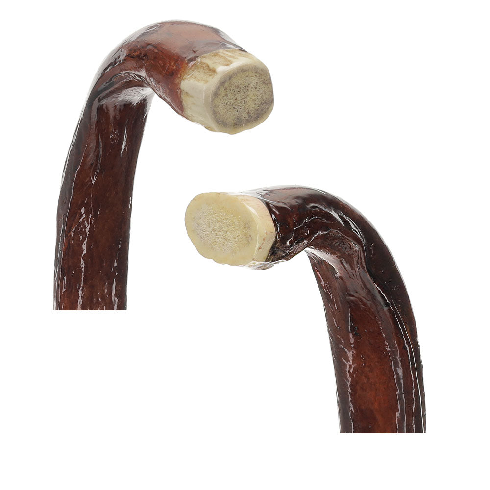 Bull Organ Tourist Handle Walking Cane with Elk Horn End Cap