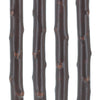 Scratch and Dent Sandalwood Wide Handle Walking Cane w/ Blackthorn Shaft (limited supply) V2164