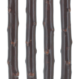 Scratch and Dent Sandalwood Wide Handle Walking Cane w/ Blackthorn Shaft (limited supply) V2031
