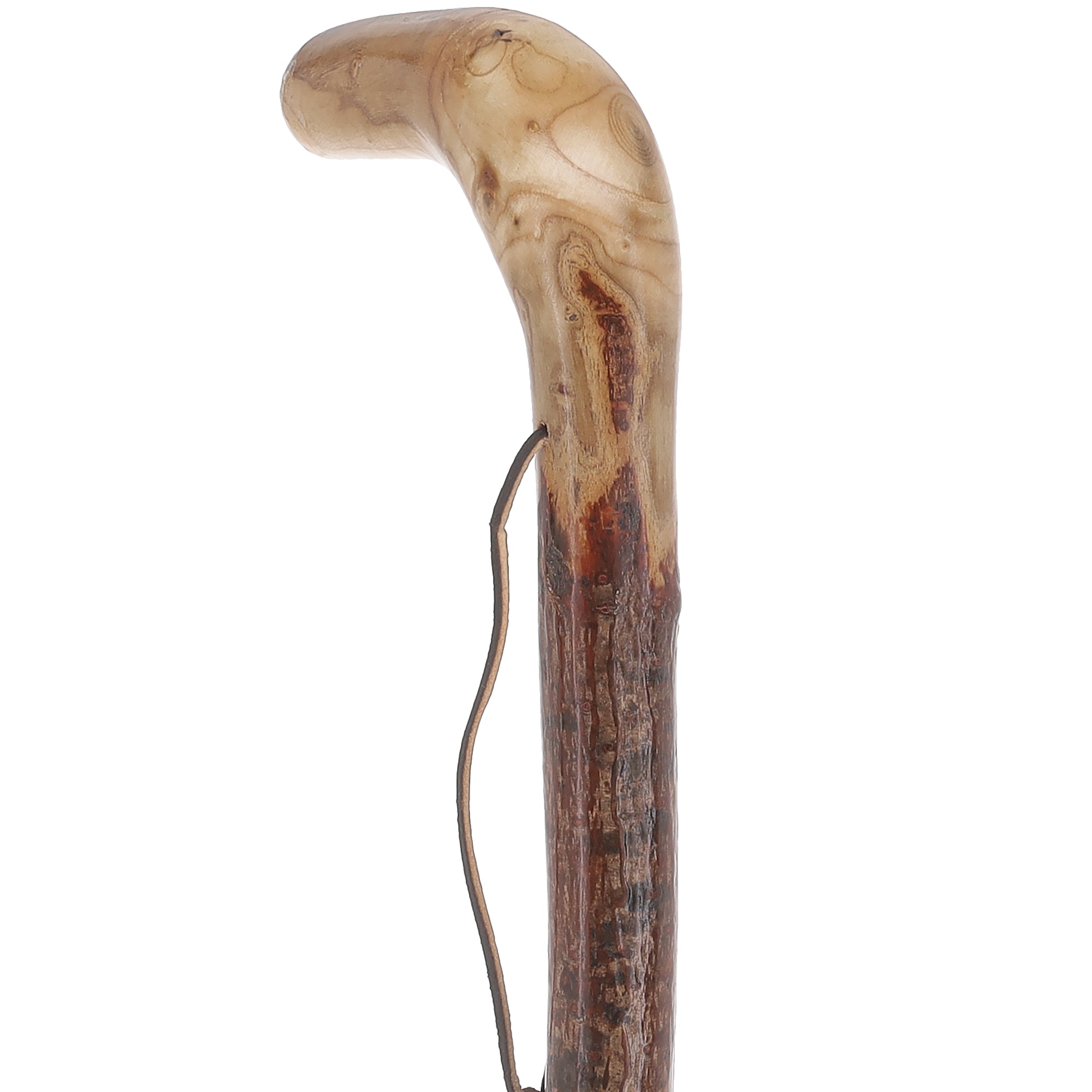 Natural Sumac Root Cane: Earth-Inspired, Rustic Design
