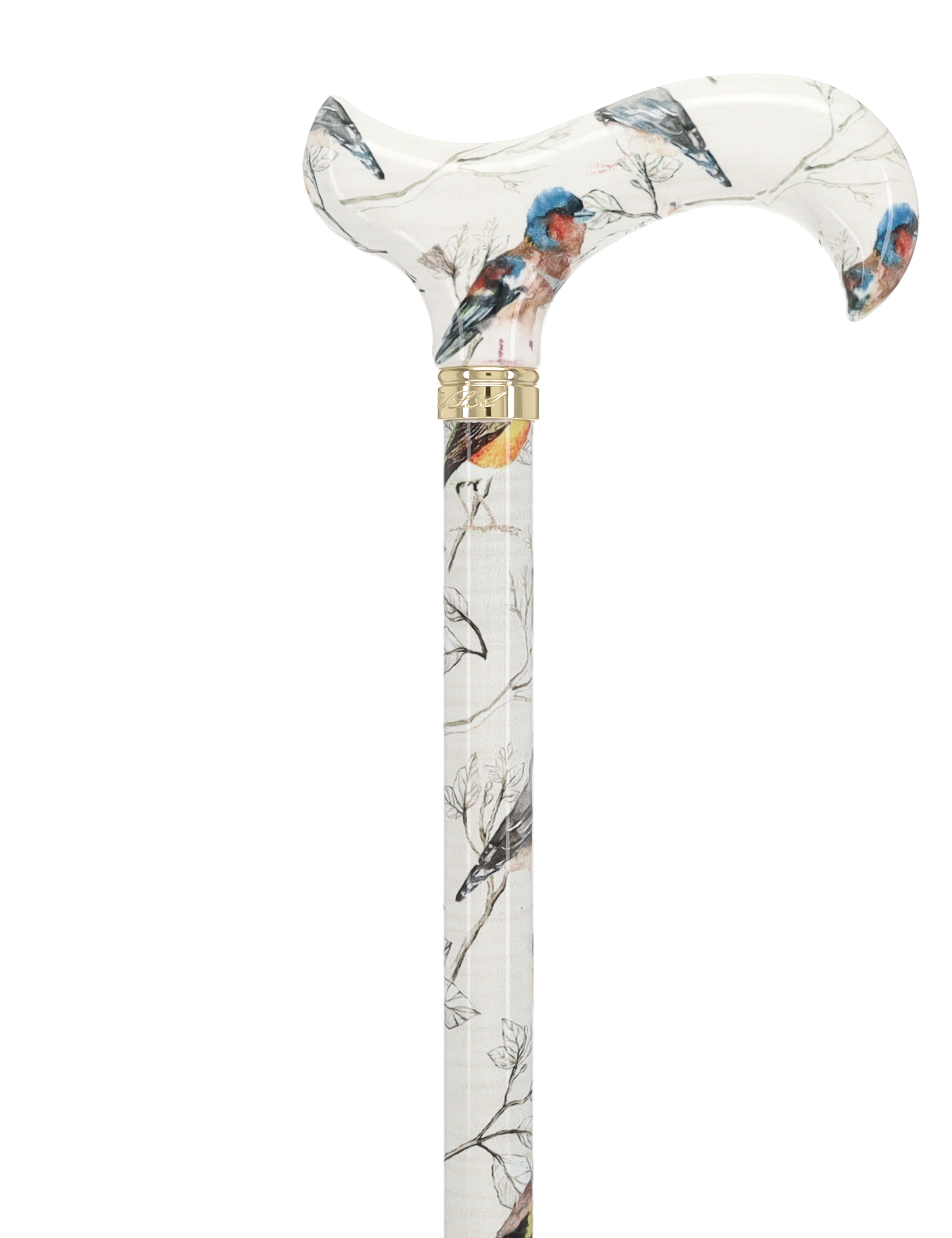 Watercolor Bird: Designer Derby Cane with Patterned Handle