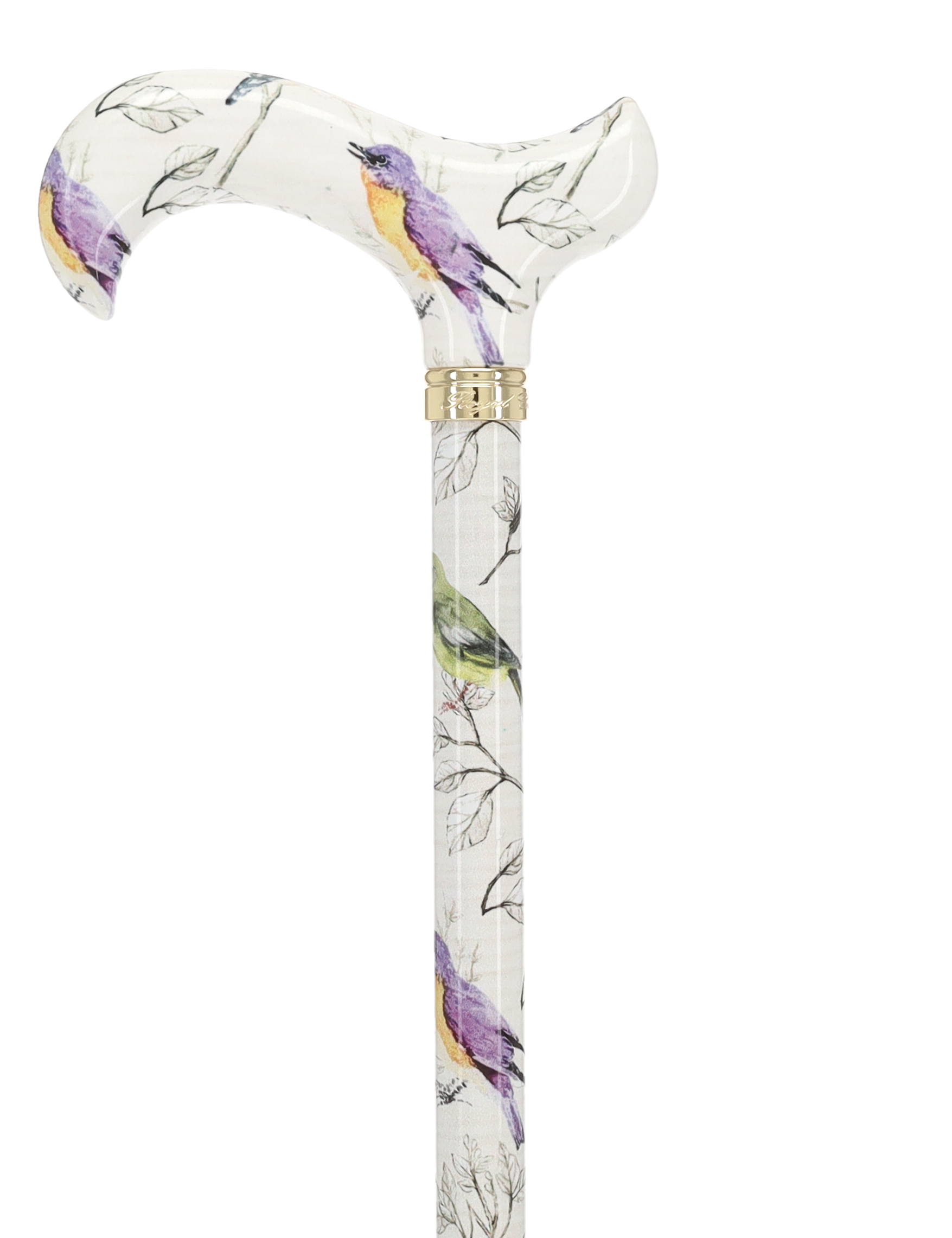 Watercolor Bird: Designer Derby Cane with Patterned Handle