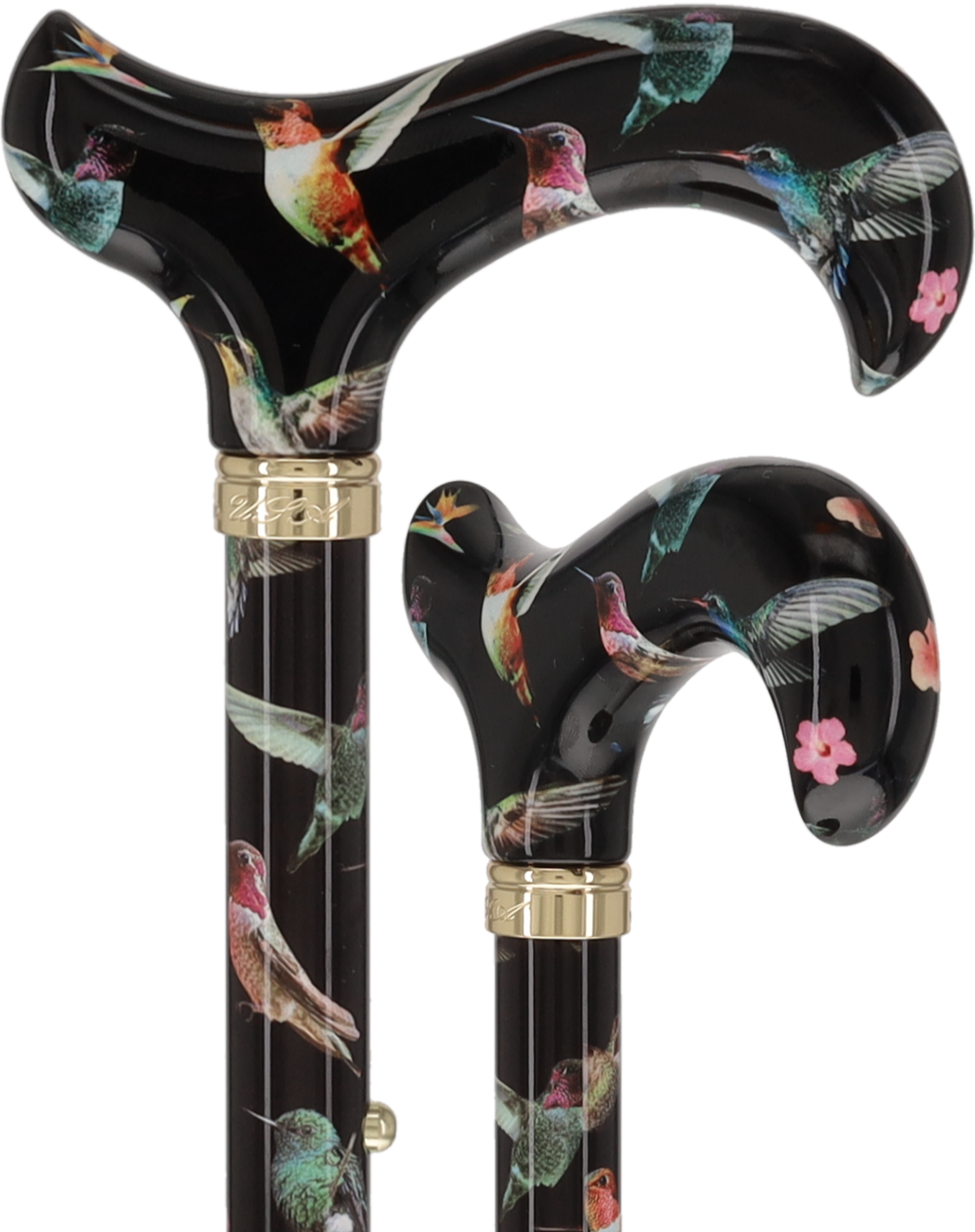 Fight of the Hummingbird Designer Pattern Folding Adjustable Cane