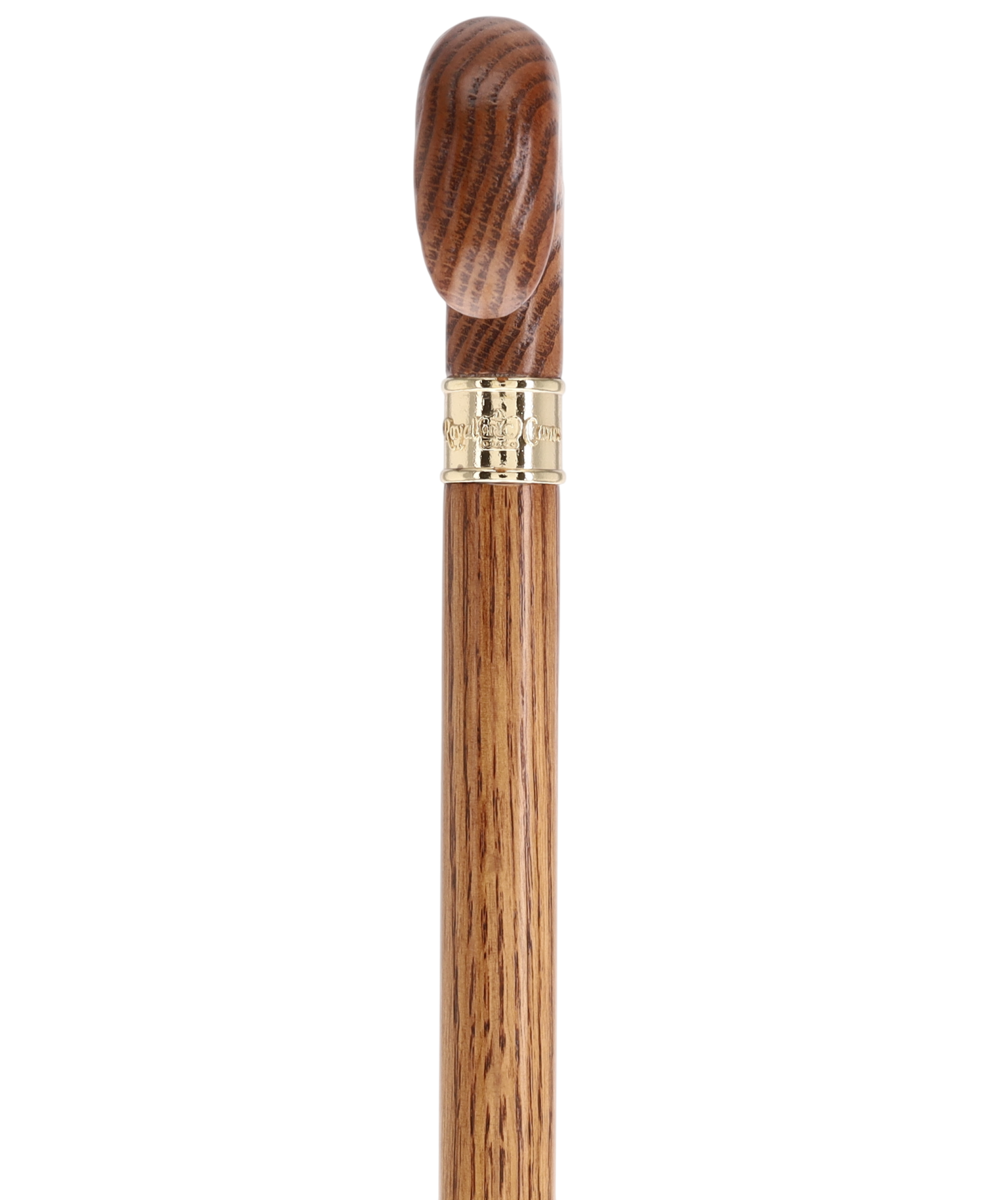 Super Strong & Extra Long Oak Derby Cane: Gold Accent Collar by Royal Canes