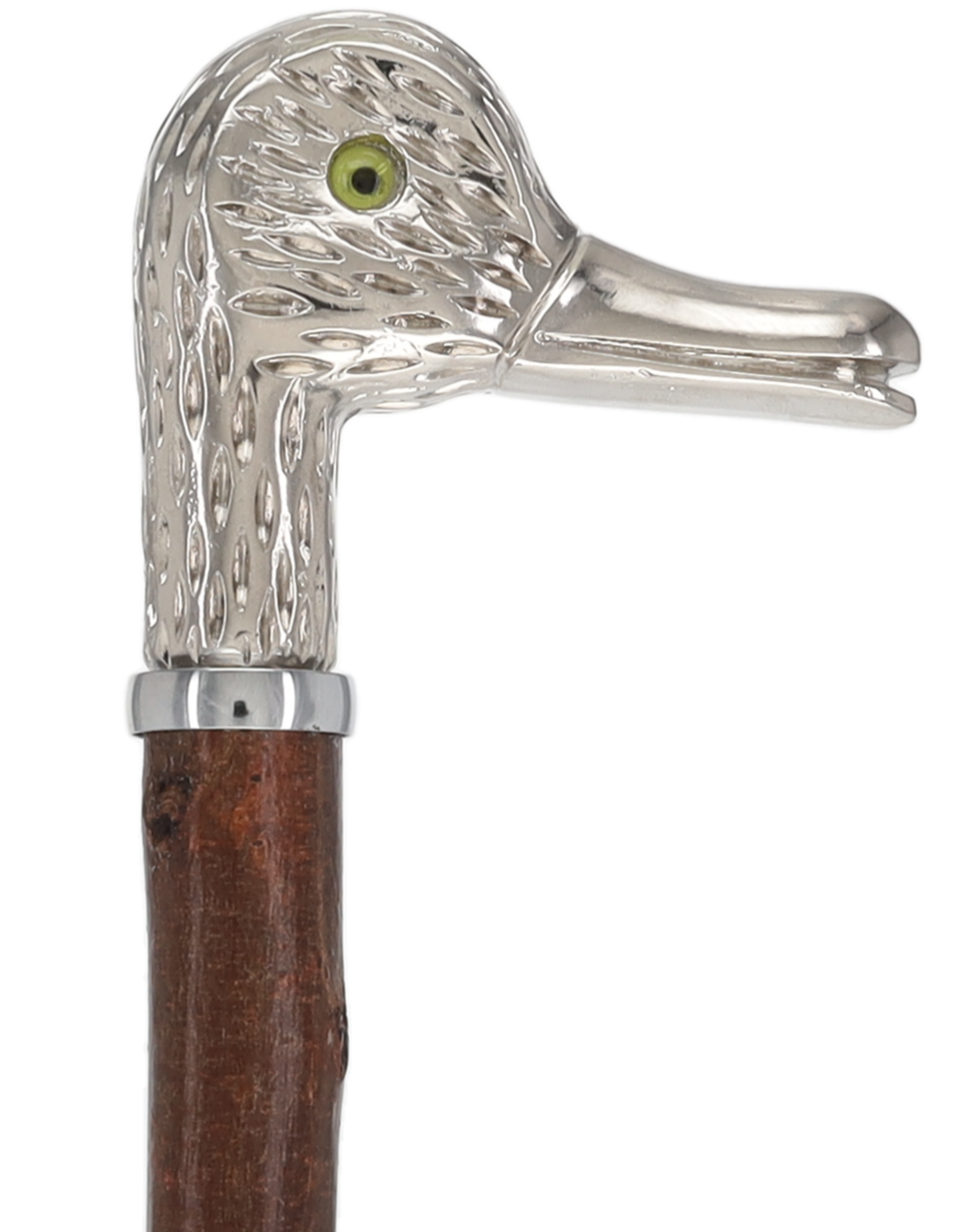 Rare Irish Blackthorn Collector's Cane | Customizable Handle Options