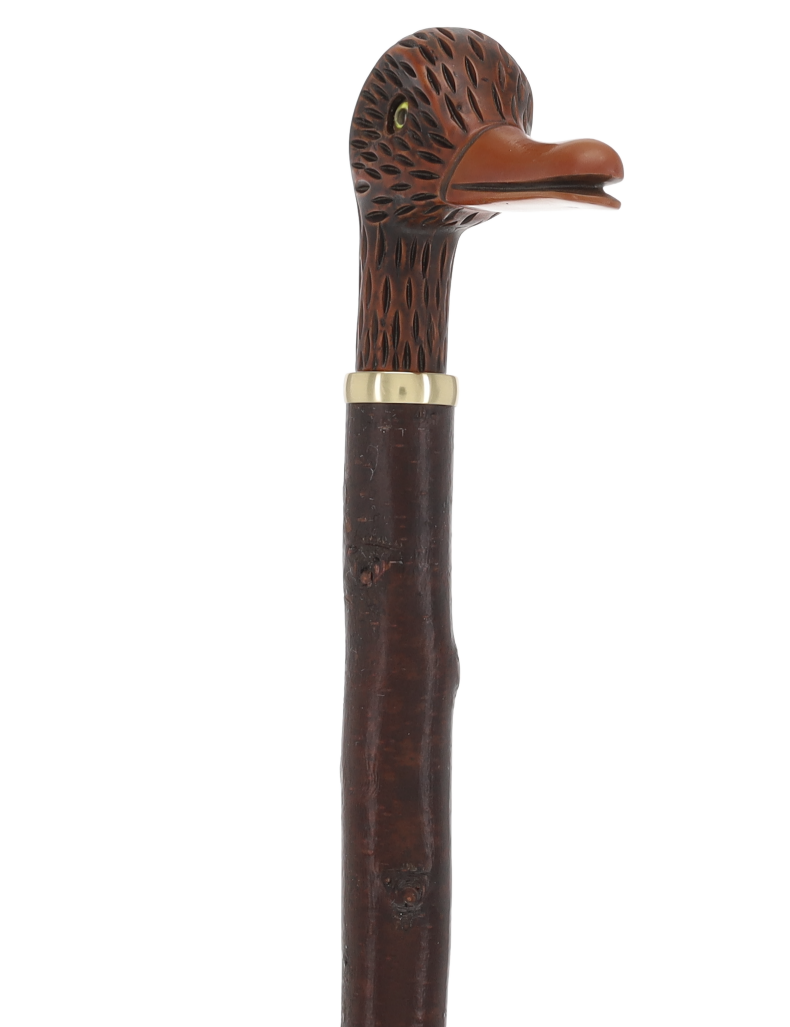 Rare Irish Blackthorn Collector's Cane | Customizable Handle Options