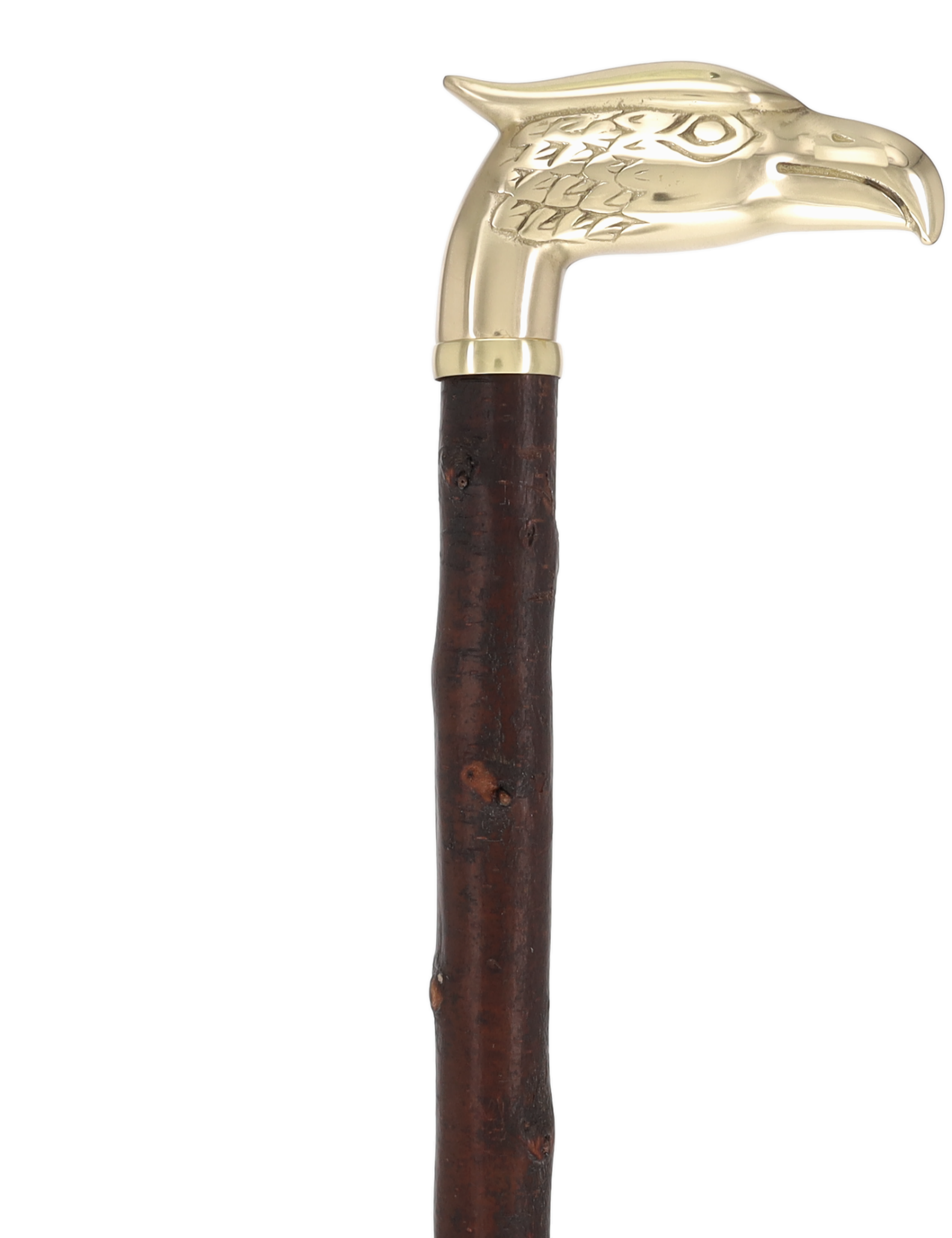 Rare Irish Blackthorn Collector's Cane | Customizable Handle Options