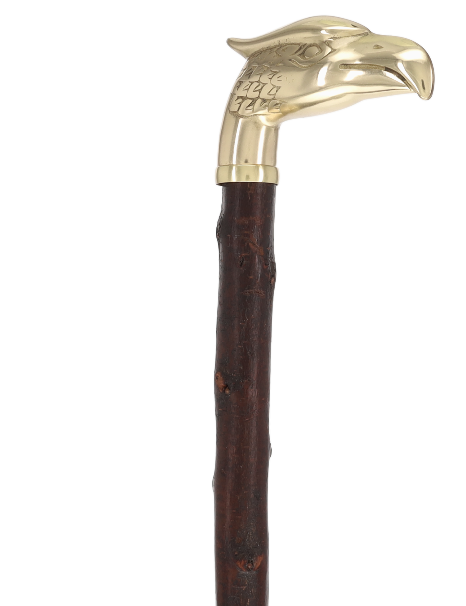 Rare Irish Blackthorn Collector's Cane | Customizable Handle Options