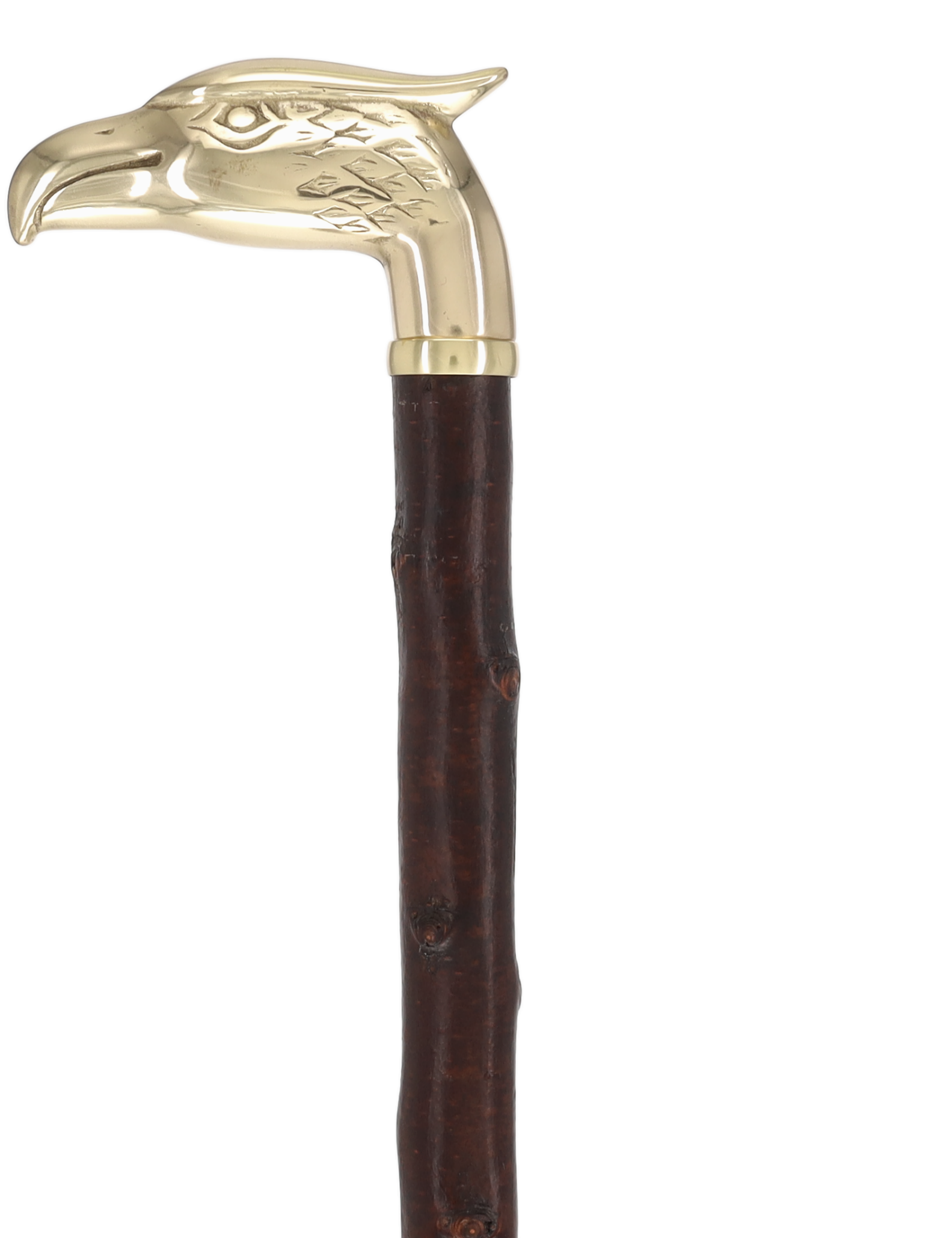 Rare Irish Blackthorn Collector's Cane | Customizable Handle Options