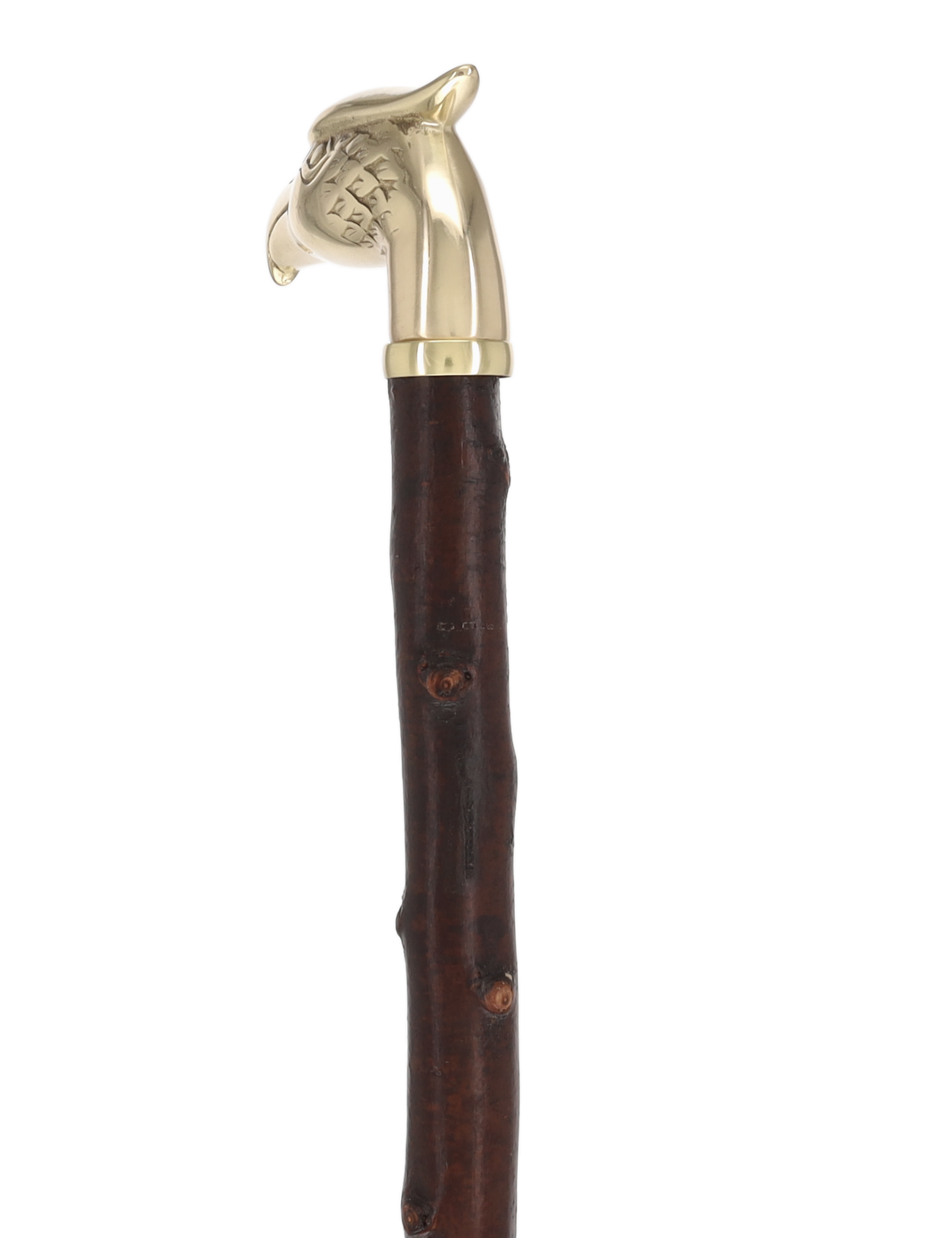 Rare Irish Blackthorn Collector's Cane | Customizable Handle Options