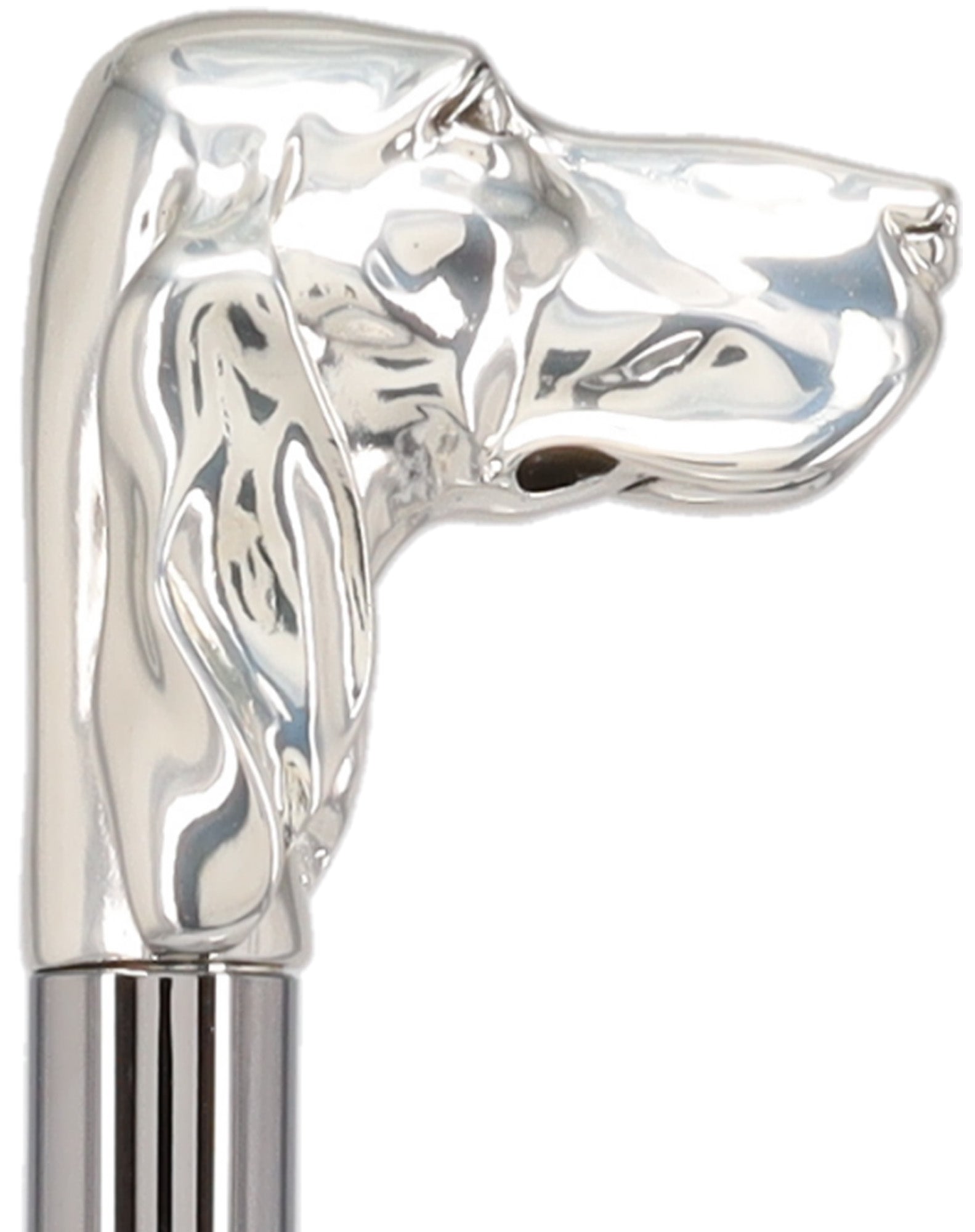 Silver Plated Hound Handle Walking Stick With Beechwood Shaft and Silver Collar