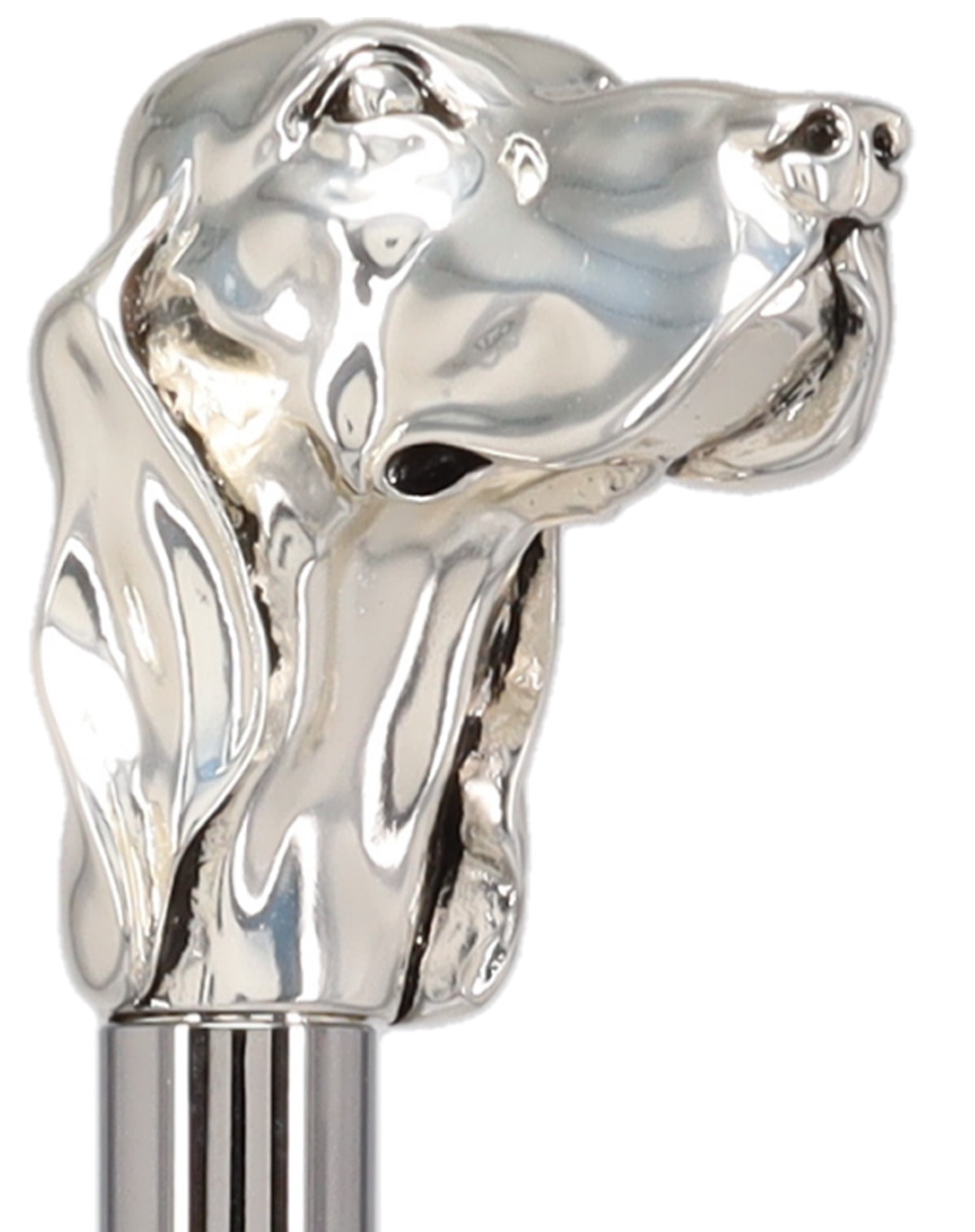 Silver Plated Hound Handle Walking Stick With Beechwood Shaft and Silver Collar