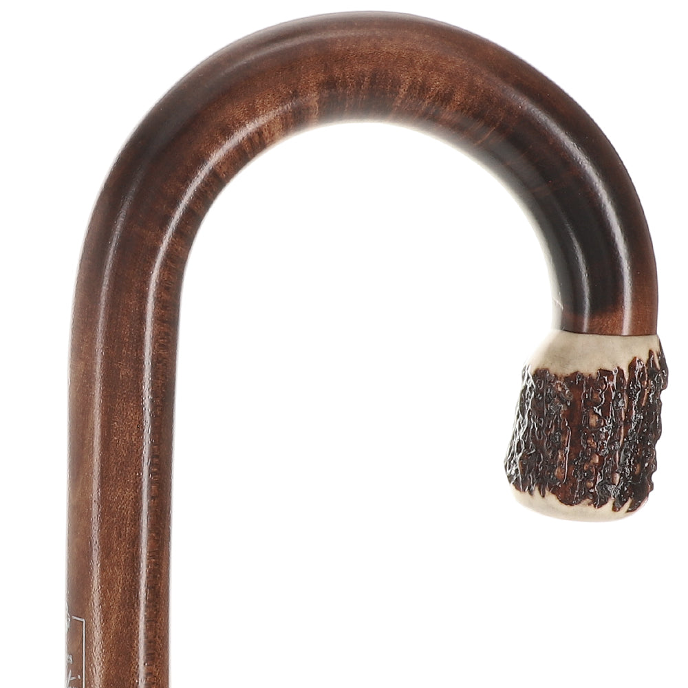 French Stag Horn Tourist Walking Cane: Dark Maple Shaft