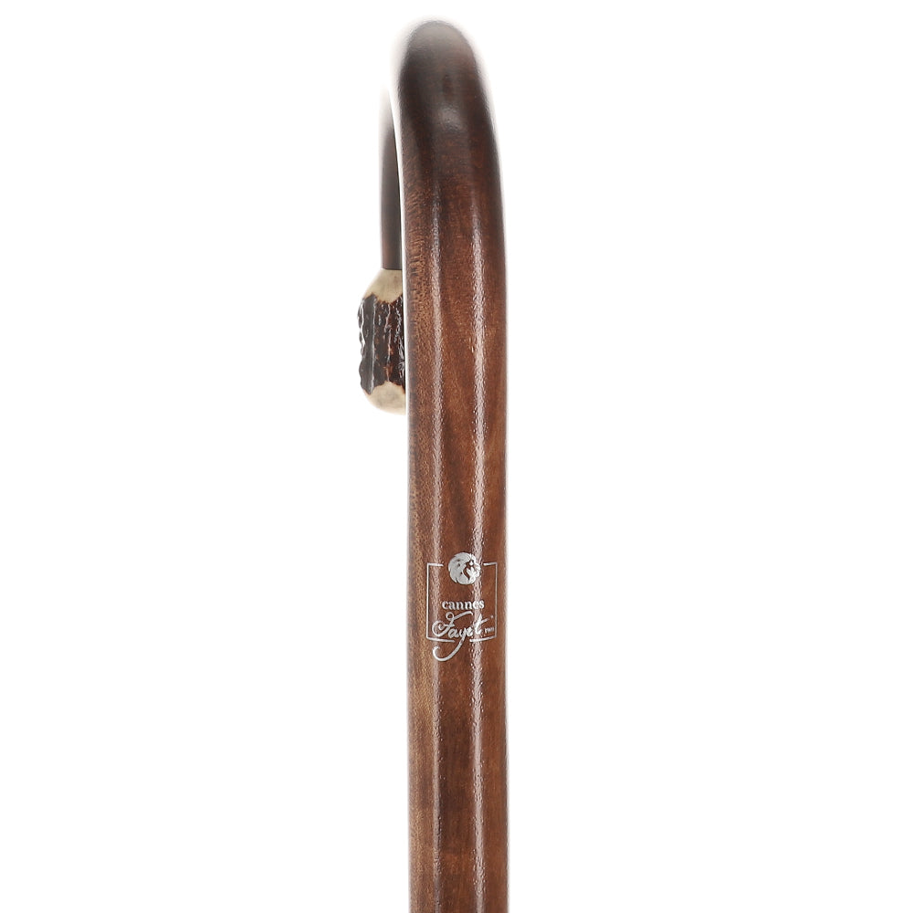 French Stag Horn Tourist Walking Cane: Dark Maple Shaft