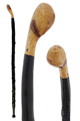 Authentic Irish Blackthorn Walking Stick
