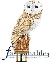 Classic Canes Owl Walking Stick With Brown Beechwood Shaft and Brass Collar