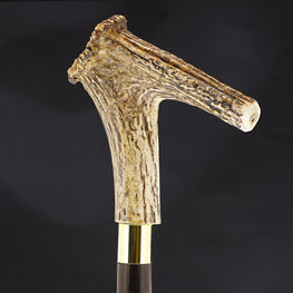 Thumbstick Bone Handle Walking Cane w/Custom Shaft and Collar